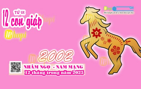 Tử Vi 12 Tháng Tuổi Nhâm Ngọ 2002 Nam Mạng Năm Ất Tỵ 2025 