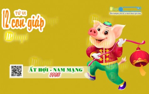 Tử Vi Tuổi Ất Hợi 1995 Nam Mạng năm Ất Tỵ 2025