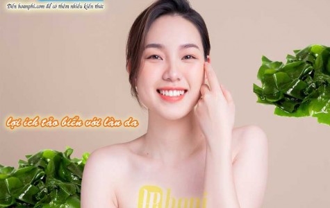 Lợi Ích Bất Ngờ Của Tảo Biển Trong Chăm Sóc Da