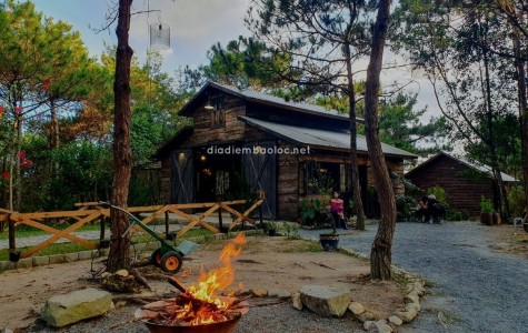 Review Quán Cafe Nhà Gỗ Trong Rừng Bảo Lộc Lâm Đồng