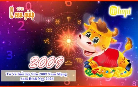 Tử Vi Tuổi Kỷ Sửu 2009 Nam Mạng năm Bính Ngọ 2026