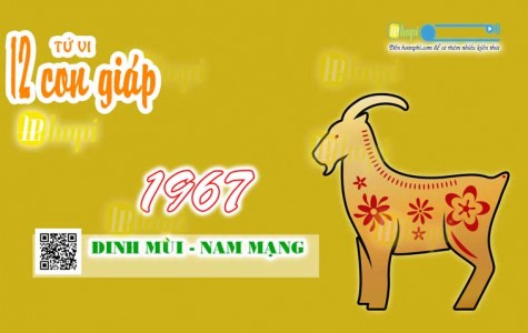 Tử Vi Tuổi Đinh Mùi 1967 Nam Mạng năm Ất Tỵ 2025