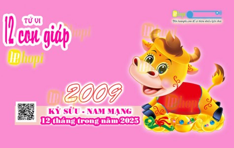 Tử Vi 12 Tháng Tuổi Kỷ Sửu 2009 Nam Mạng Năm Ất Tỵ 2025 