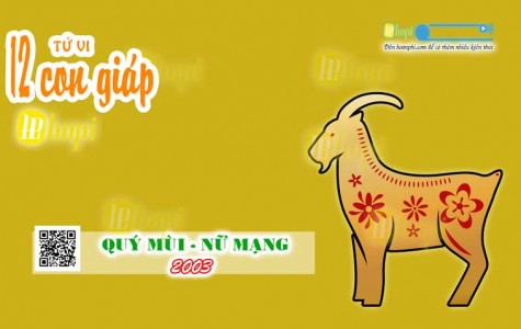 Tử Vi Tuổi Quý Mùi 2003 Nữ Mạng năm Ất Tỵ 2025