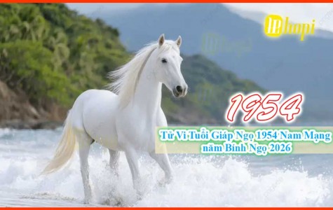 Tử Vi Tuổi Giáp Ngọ 1954 Nam Mạng năm Bính Ngọ 2026