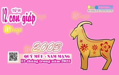 Tử Vi 12 Tháng Tuổi Quý Mùi 2003 Nam Mạng Năm Ất Tỵ 2025 