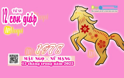 Tử Vi 12 Tháng Tuổi Mậu Ngọ 1978 Nữ Mạng Năm Ất Tỵ 2025