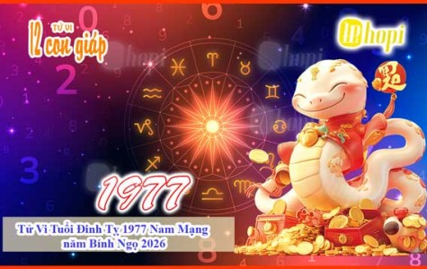 Tử Vi Tuổi Đinh Tỵ 1977 Nam Mạng năm Bính Ngọ 2026