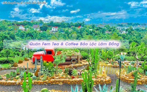 Review Quán The Fern Coffee Bảo Lộc Lâm Đồng