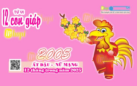 Tử Vi 12 Tháng Tuổi Ất Dậu 2005 Nữ Mạng Năm Ất Tỵ 2025