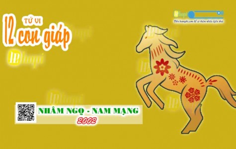 Tử Vi Tuổi Nhâm Ngọ 2002 Nam Mạng năm Ất Tỵ 2025