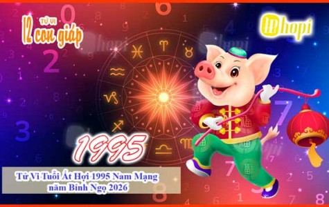 Tử Vi Tuổi Ất Hợi 1995 Nam Mạng năm Bính Ngọ 2026