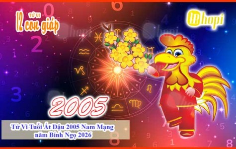Tử Vi Tuổi Ất Dậu 2005 Nam Mạng năm Bính Ngọ 2026