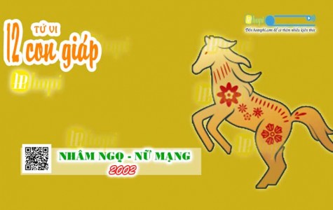 Tử Vi Tuổi Nhâm Ngọ 2002 Nữ Mạng năm Ất Tỵ 2025