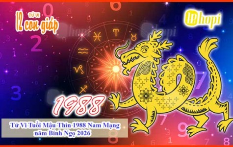 Tử Vi Tuổi Mậu Thìn 1988 Nam Mạng năm Bính Ngọ 2026
