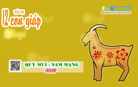 Tử Vi Tuổi Quý Mùi 2003 Nam Mạng năm Ất Tỵ 2025