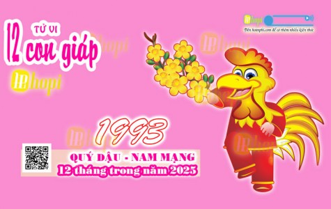 Tử Vi 12 Tháng Tuổi Quý Dậu 1993 Nam Mạng Năm Ất Tỵ 2025 