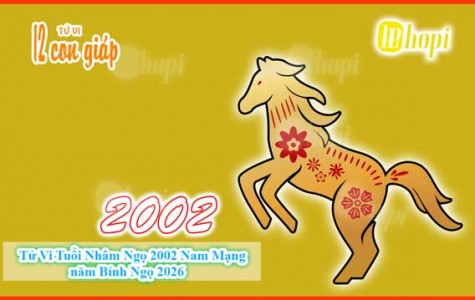 Tử Vi Tuổi Nhâm Ngọ 2002 Nam Mạng năm Bính Ngọ 2026