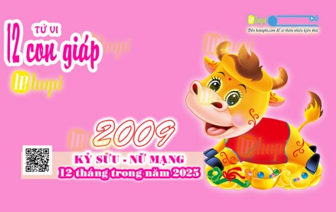 Tử Vi 12 Tháng Tuổi Kỷ Sửu 2009 Nữ Mạng Năm Ất Tỵ 2025