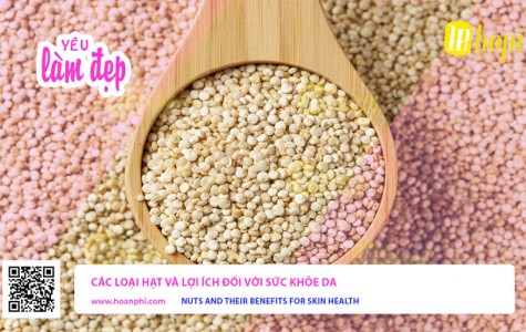 Các Loại Hạt Và Lợi Ích Đối Với Sức Khỏe Da
