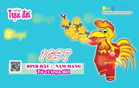 Tử Vi Trọn Đời Tuổi Đinh Dậu Nam Mạng Sinh Năm 1957