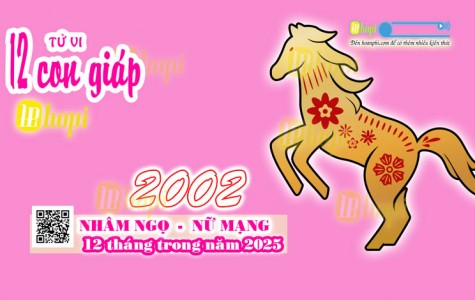 Tử Vi 12 Tháng Tuổi Nhâm Ngọ 2002 Nữ Mạng Năm Ất Tỵ 2025