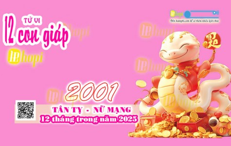 Tử Vi 12 Tháng Tuổi Tân Tỵ 2001 Nữ Mạng Năm Ất Tỵ 2025
