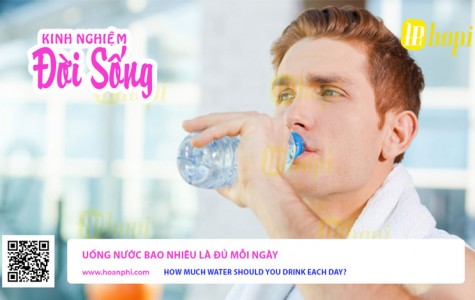 Uống Nước Bao Nhiêu Là Đủ Mỗi Ngày?