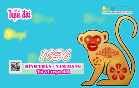 Tử Vi Trọn Đời Tuổi Bính Thân 1956 Nam Mạng 