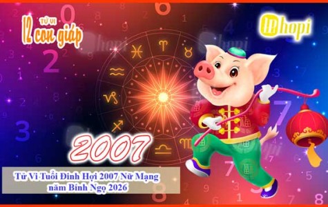 Tử Vi Tuổi Đinh Hợi 2007 Nữ Mạng năm Bính Ngọ 2026