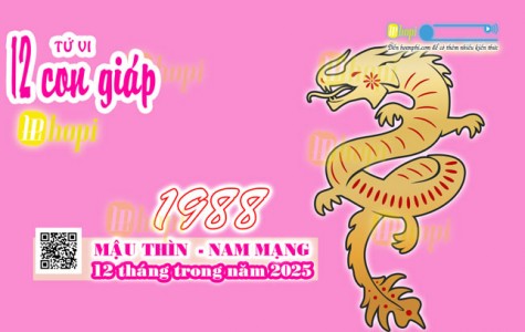 Tử Vi 12 Tháng Tuổi Mậu Thìn 1988 Nam Mạng Năm Ất Tỵ 2025 