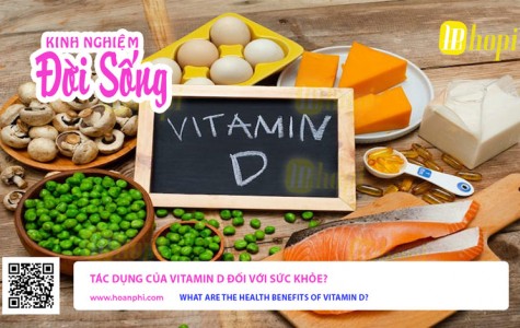 Tác Dụng Của Vitamin D Đối Với Sức Khỏe?
