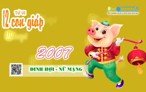 Tử Vi Tuổi Đinh Hợi 2007 Nữ Mạng năm Ất Tỵ 2025