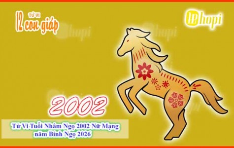 Tử Vi Tuổi Nhâm Ngọ 2002 Nữ Mạng năm Bính Ngọ 2026