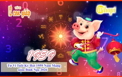 Tử Vi Tuổi Kỷ Hợi 1959 Nam Mạng năm Bính Ngọ 2026