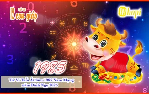 Tử Vi Tuổi Ất Sửu 1985 Nam Mạng năm Bính Ngọ 2026