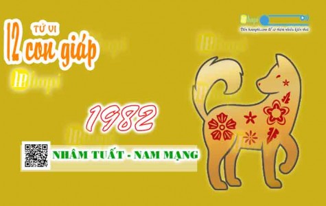 Tử Vi Tuổi Nhâm Tuất 1982 Nam Mạng năm Ất Tỵ 2025