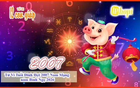 Tử Vi Tuổi Đinh Hợi 2007 Nam Mạng năm Bính Ngọ 2026