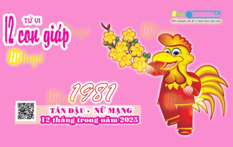 Tử Vi 12 Tháng Tuổi Tân Dậu 1981 Nữ Mạng Năm Ất Tỵ 2025