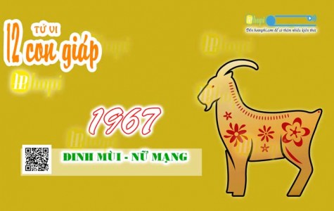 Tử Vi Tuổi Đinh Mùi 1967 Nữ Mạng năm Ất Tỵ 2025