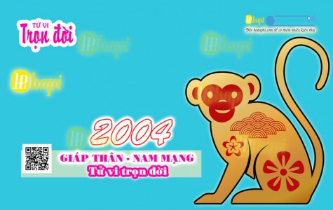 Tử Vi Trọn Đời  Tuổi Giáp Thân 2004 Nam Mạng