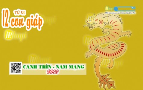 Tử Vi Tuổi Canh Thìn 2000 Nam Mạng năm Ất Tỵ 2025