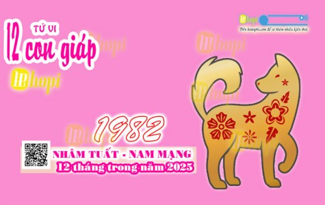 Tử Vi 12 Tháng Tuổi Nhâm Tuất 1982 Nam Mạng Năm Ất Tỵ 2025 