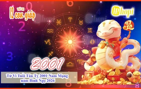 Tử Vi Tuổi Tân Tỵ 2001 Nam Mạng năm Bính Ngọ 2026