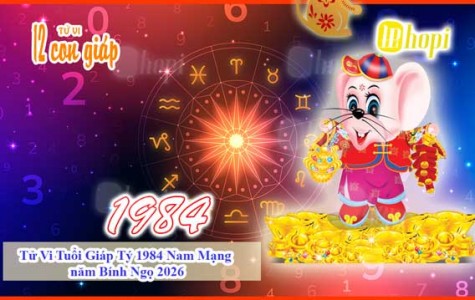 Tử Vi Tuổi Giáp Tý 1984 Nam Mạng năm Bính Ngọ 2026