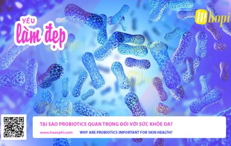 Tại Sao Probiotics Quan Trọng Đối Với Sức Khỏe Da?
