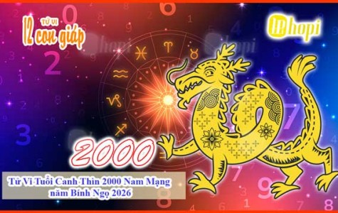 Tử Vi Tuổi Canh Thìn 2000 Nam Mạng năm Bính Ngọ 2026