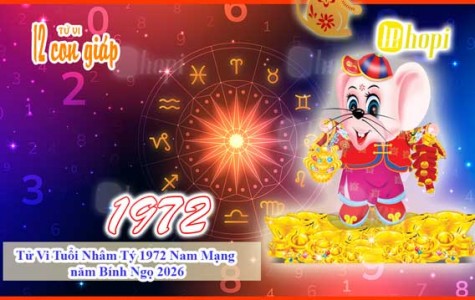 Tử Vi Tuổi Nhâm Tý 1972 Nam Mạng năm Bính Ngọ 2026