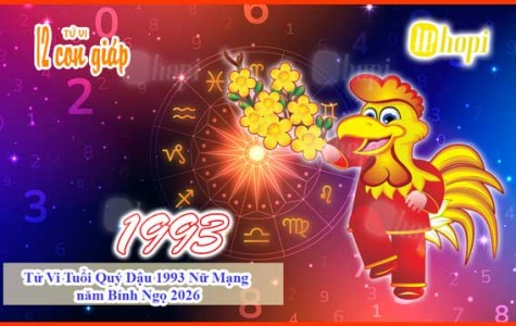 Tử Vi Tuổi Quý Dậu 1993 Nữ Mạng năm Bính Ngọ 2026