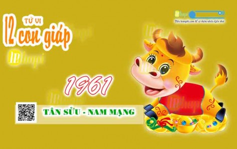 Tử Vi Tuổi Tân Sửu 1961 Nam Mạng năm Ất Tỵ 2025